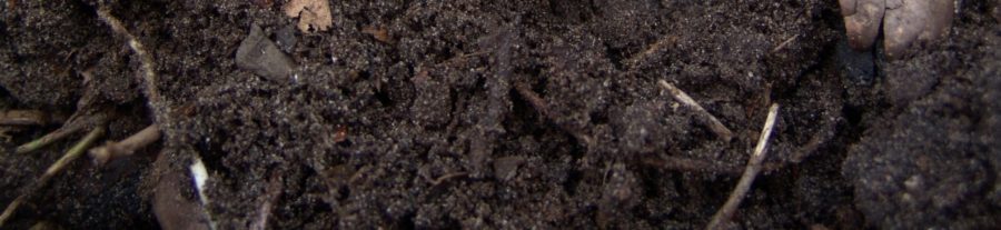 SOIL